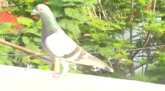 @Kanaga Raj