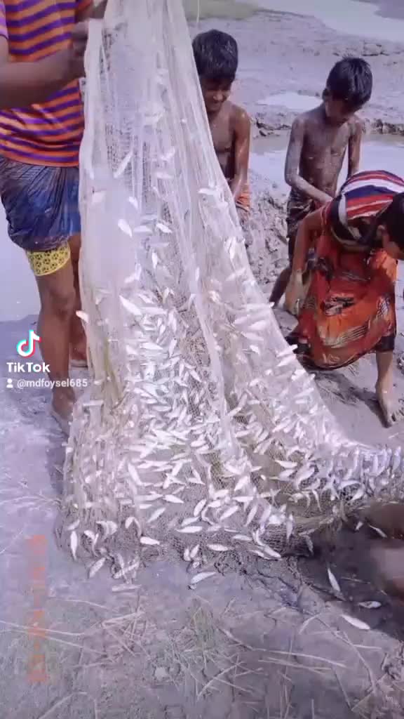 @user94125093754