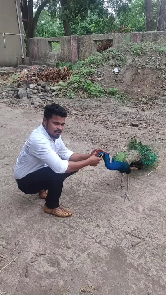 @Sagar Patil
