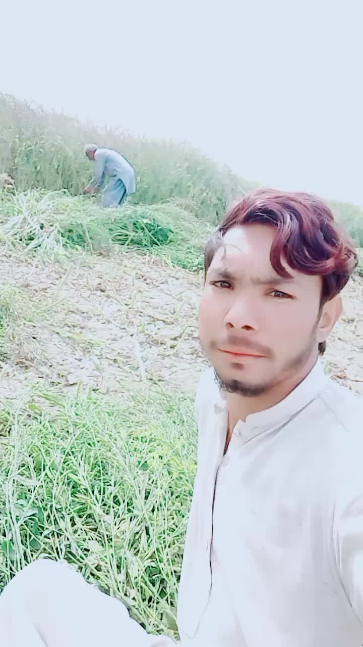 @waraymo