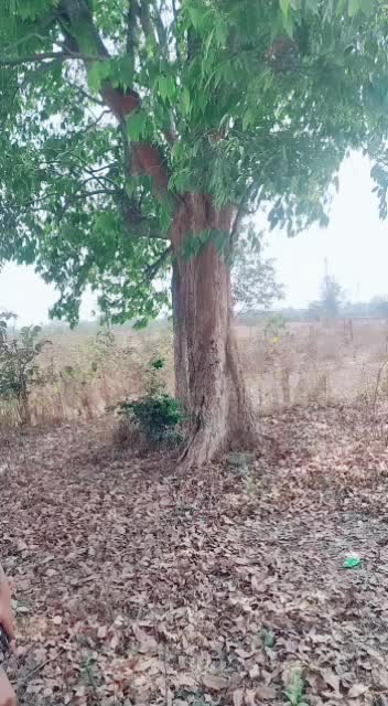 @user1046877780316