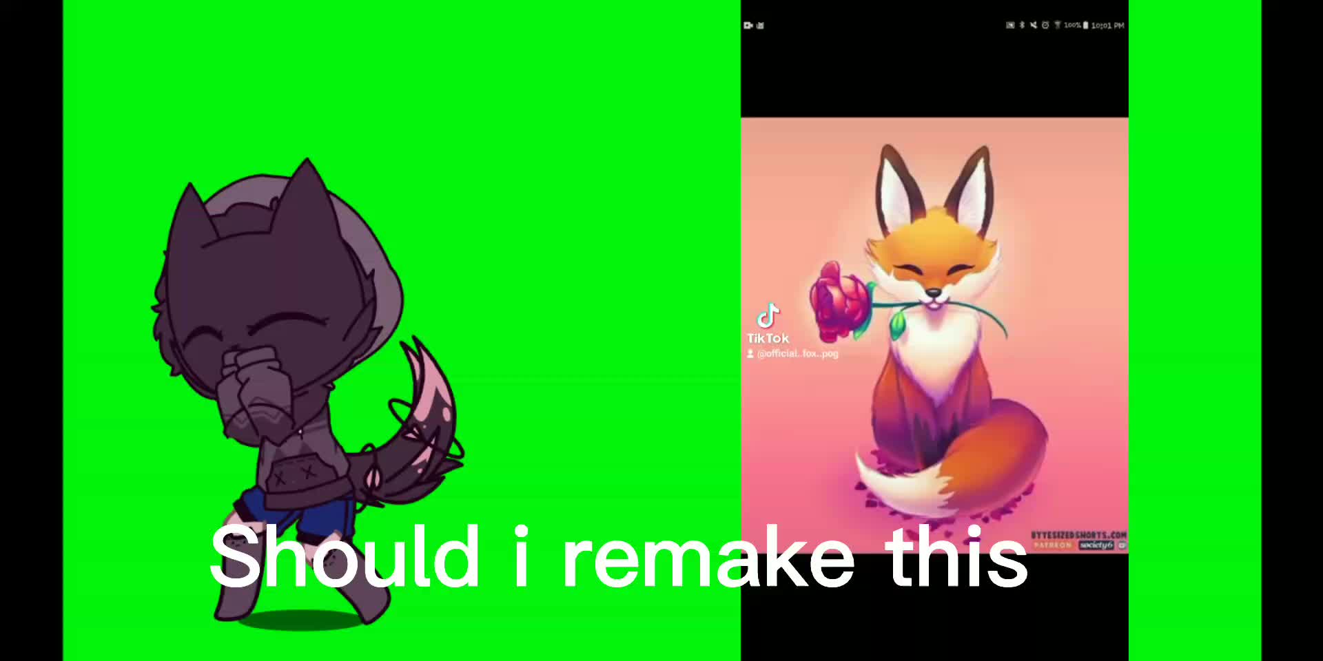 @fox ๐โ