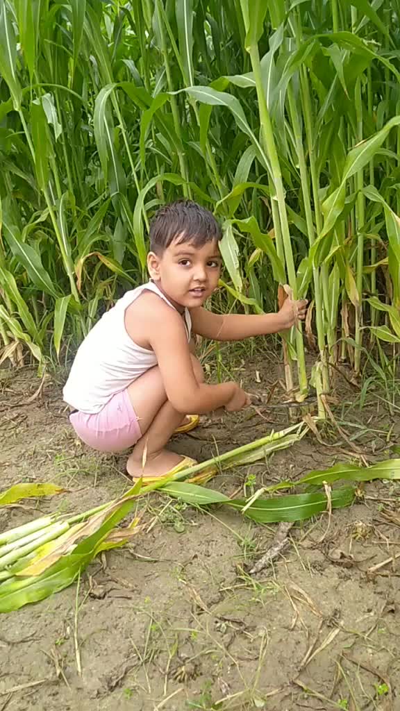 @Ankit Rajput