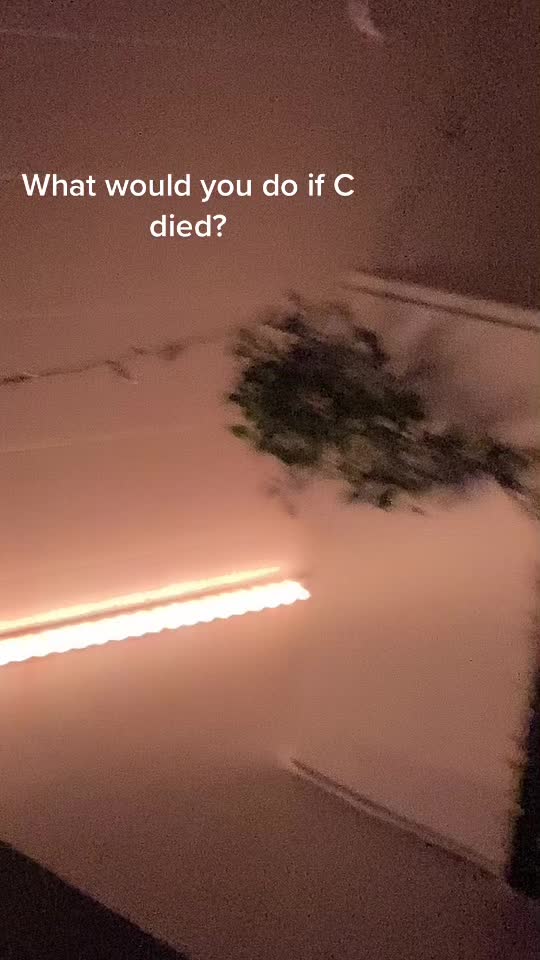@Sara.