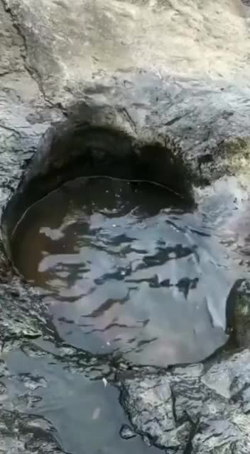 @Kanhaiya Sharma