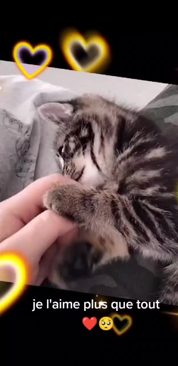 @Kimpotter16