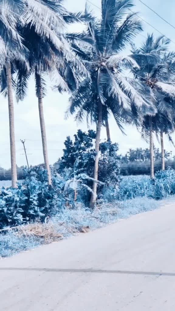 @👑💖shyamraju💖👑