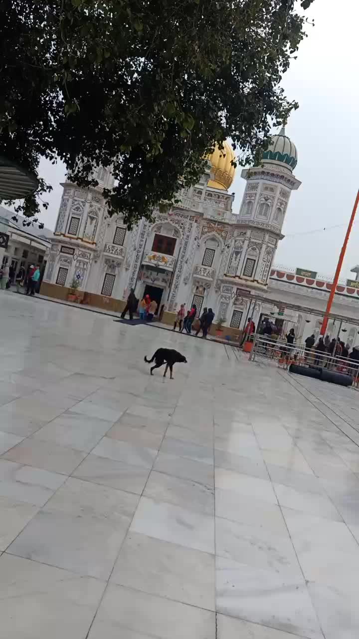 @Amarjotthandal