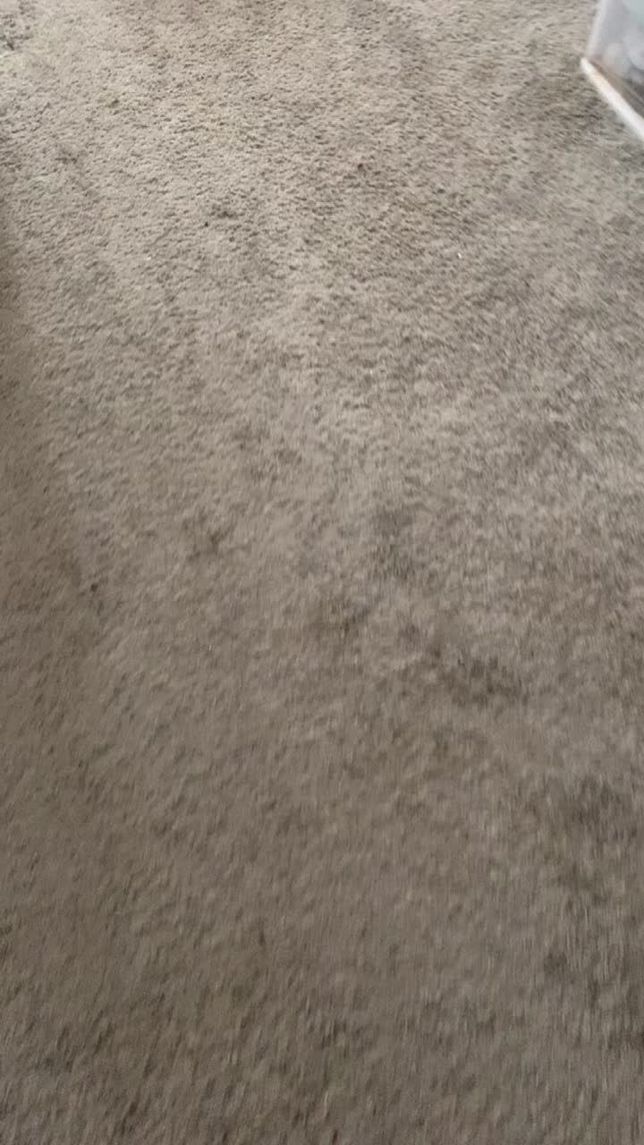 @TrixxyDust ᧔࿔᧓