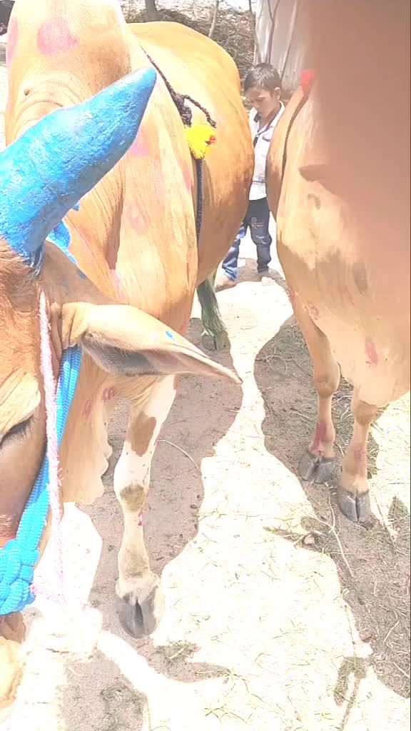 @naveen kumar