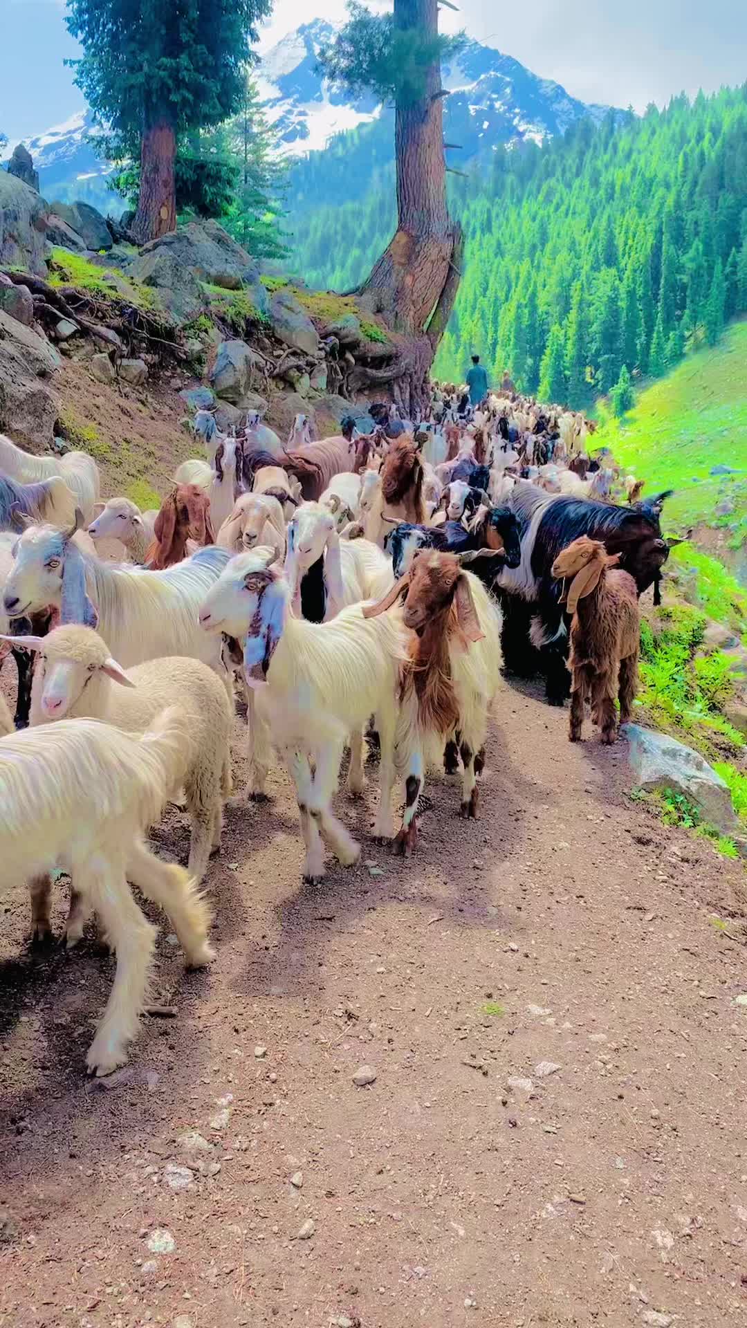 @Nawaz Khan