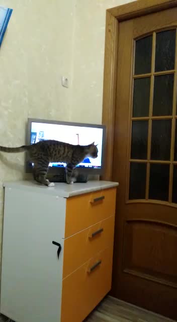 @Людмила Сюнина