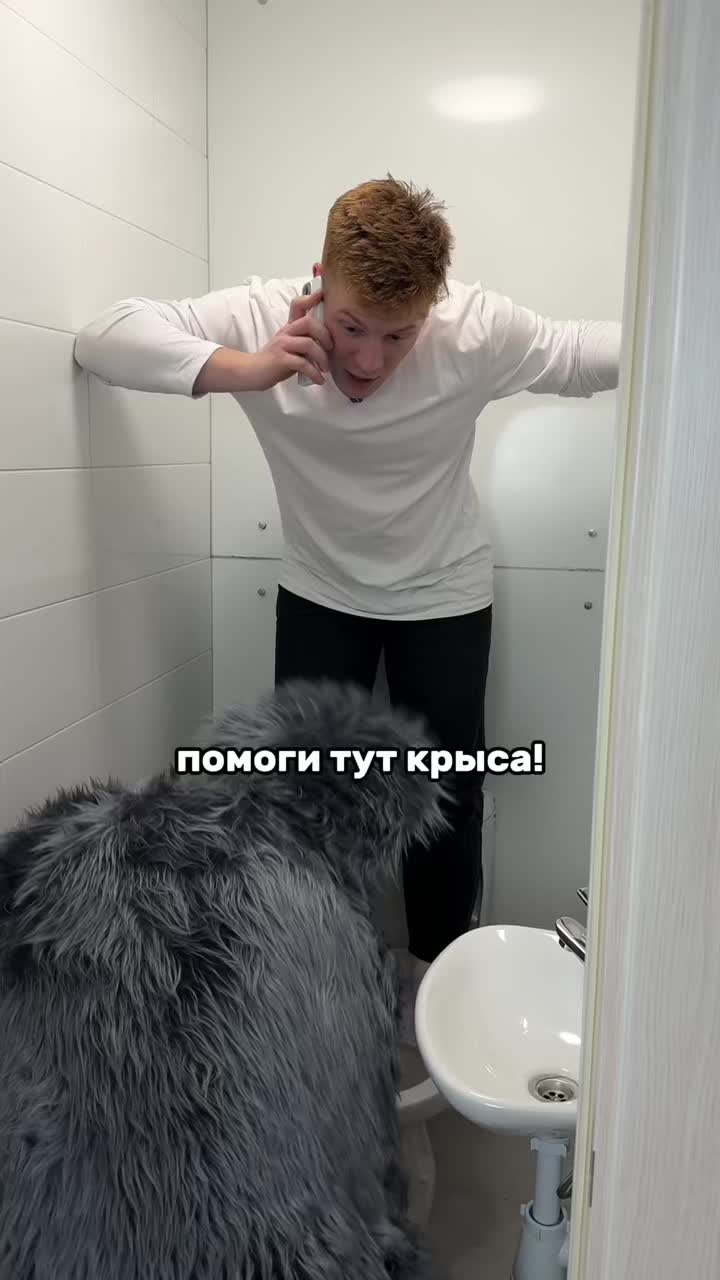 @Сергей Пластинин/Дезинсектор