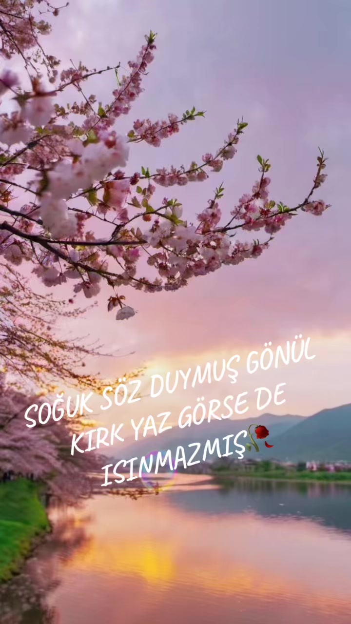 @KARADENİZ KIZI 28🇹🇷🤘🏻