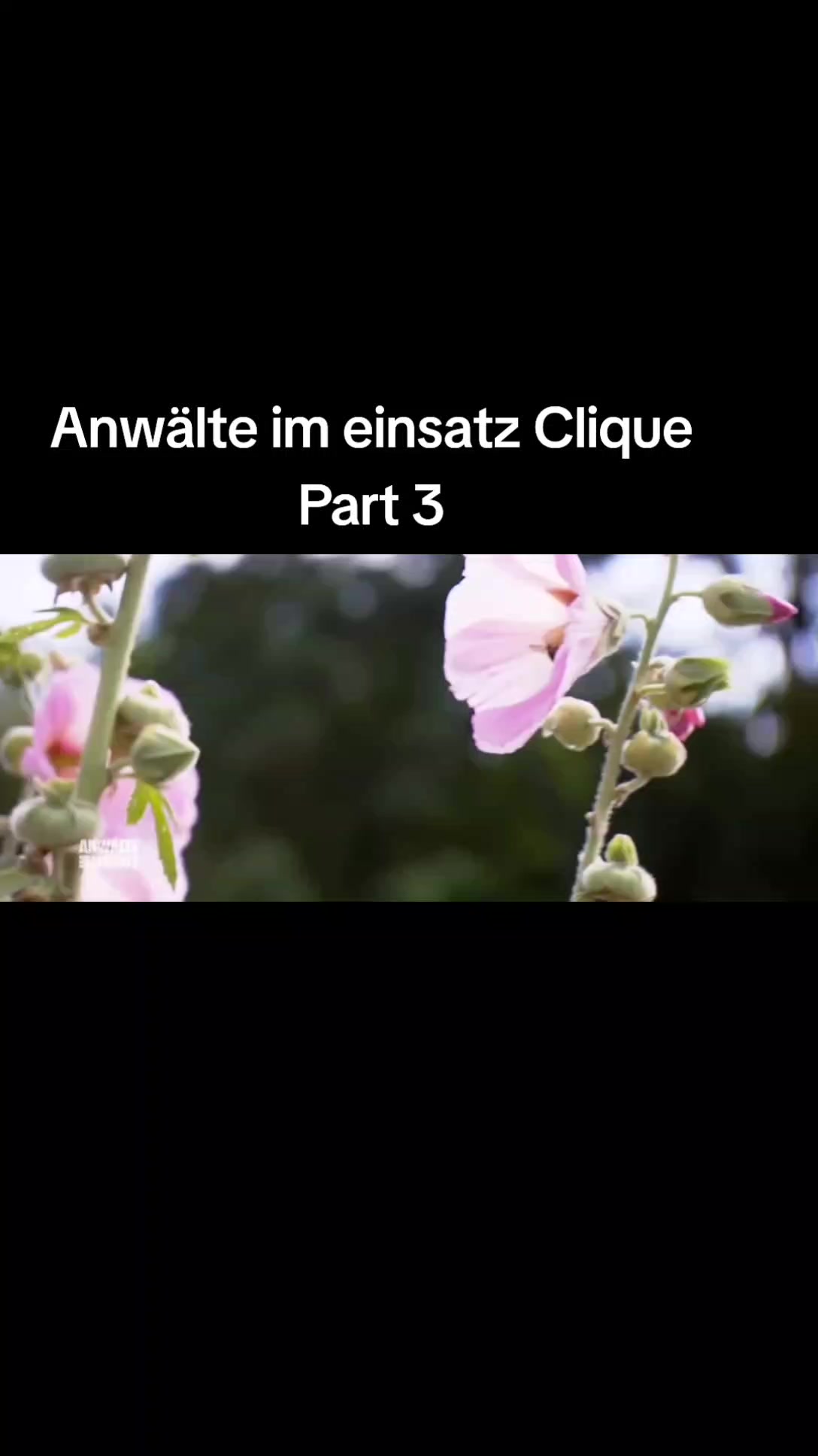 @Josefin Dreßler