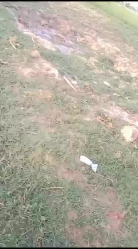 @user42021258764