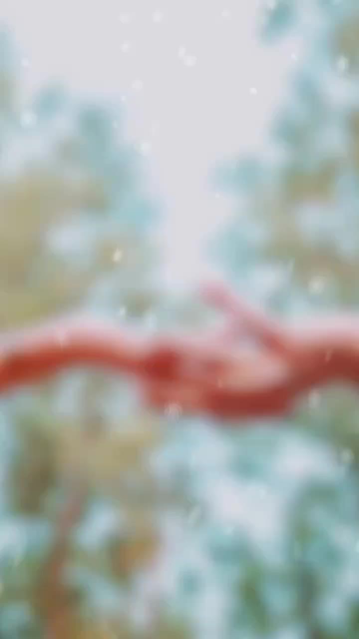 @꧁༒Dhira❤Status༒꧂