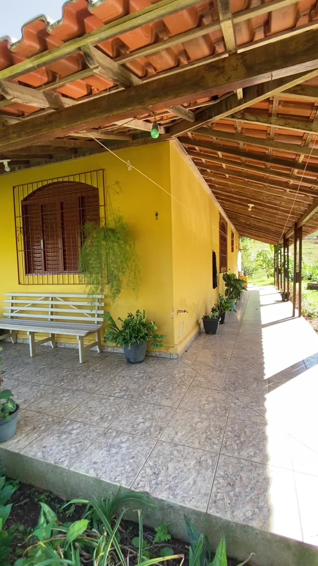 @Túlio Mattos