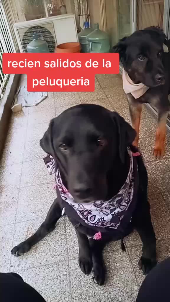 @Fernanda Brea