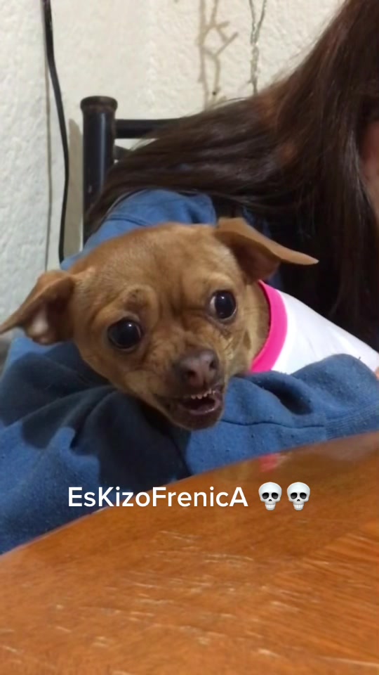 @Valeria EB