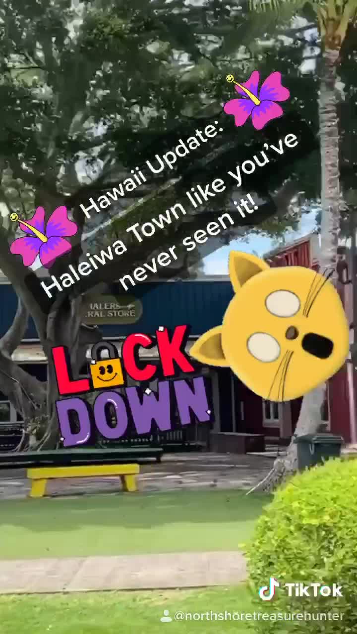@northshoretreasurehu