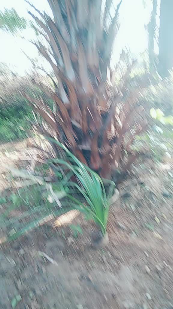 @user5763951914962