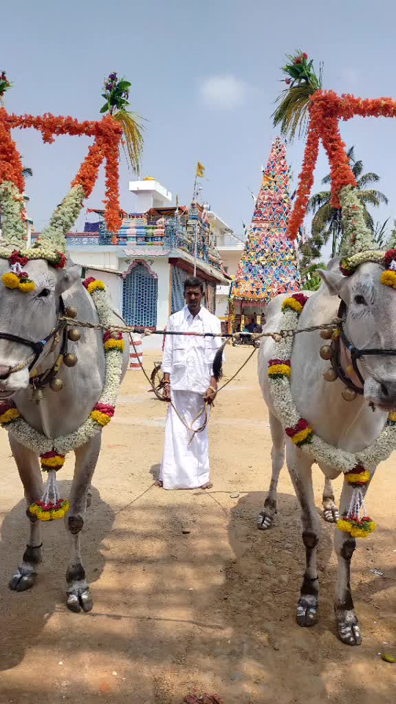 @Allumallu Allumallu
