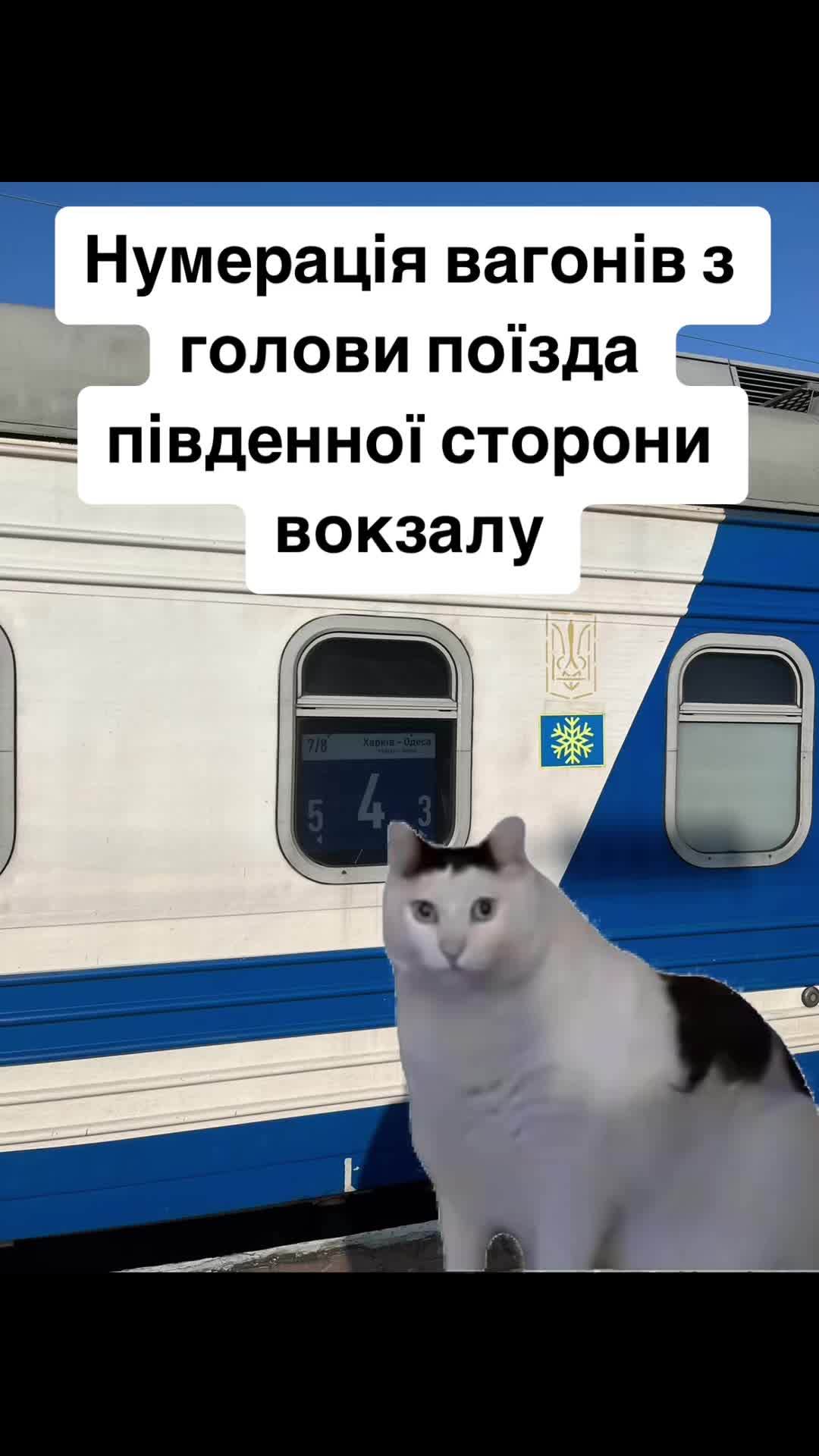 @Пряний авокадо 🥑