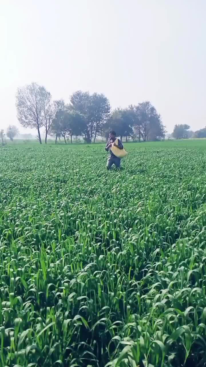 @user5073788121858