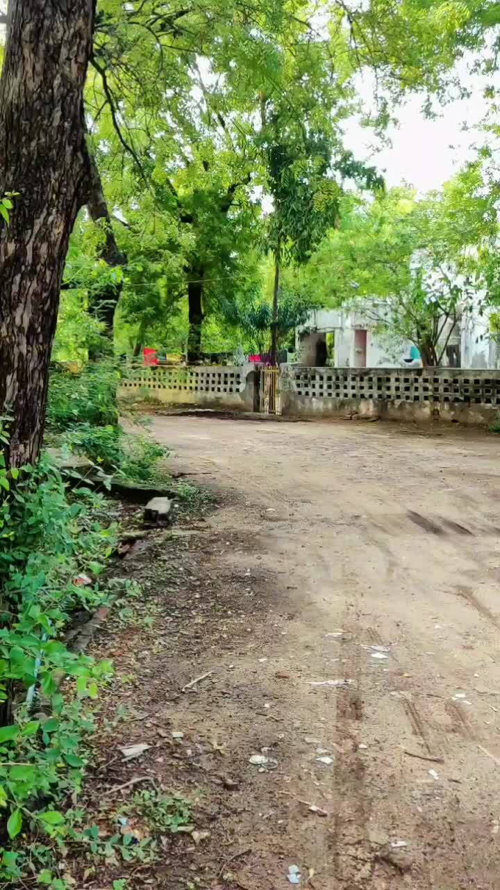 @Royal_રજવાડી_RK_Ram