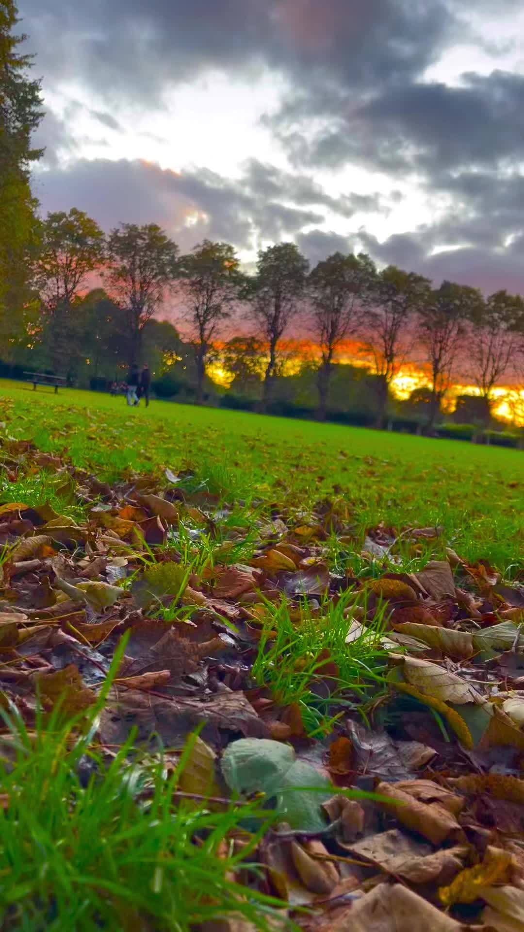 @Gk_scenery