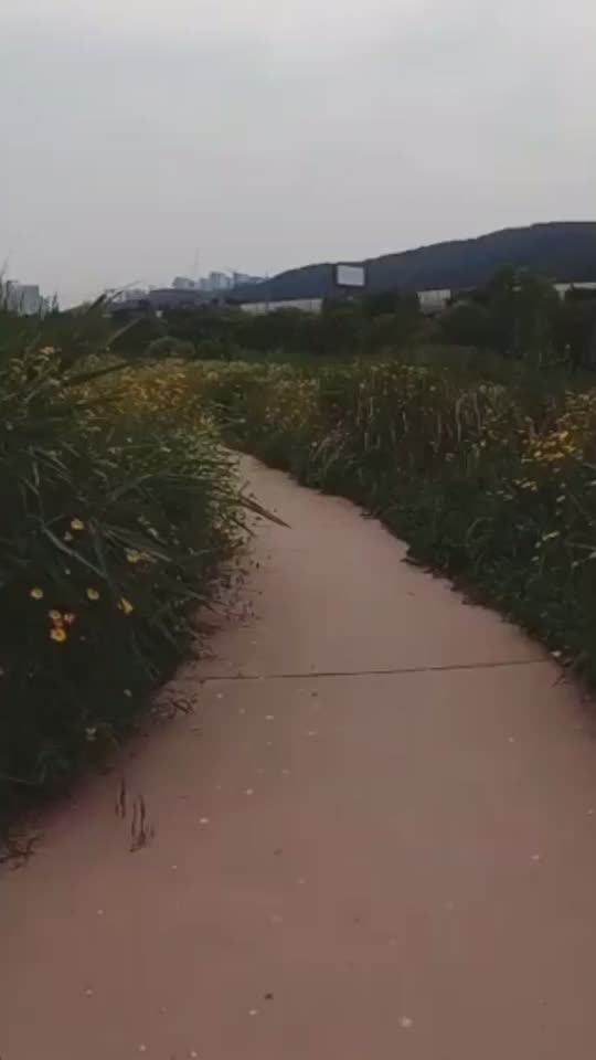 @๐๐ฆ๐๐๐๐๐จui