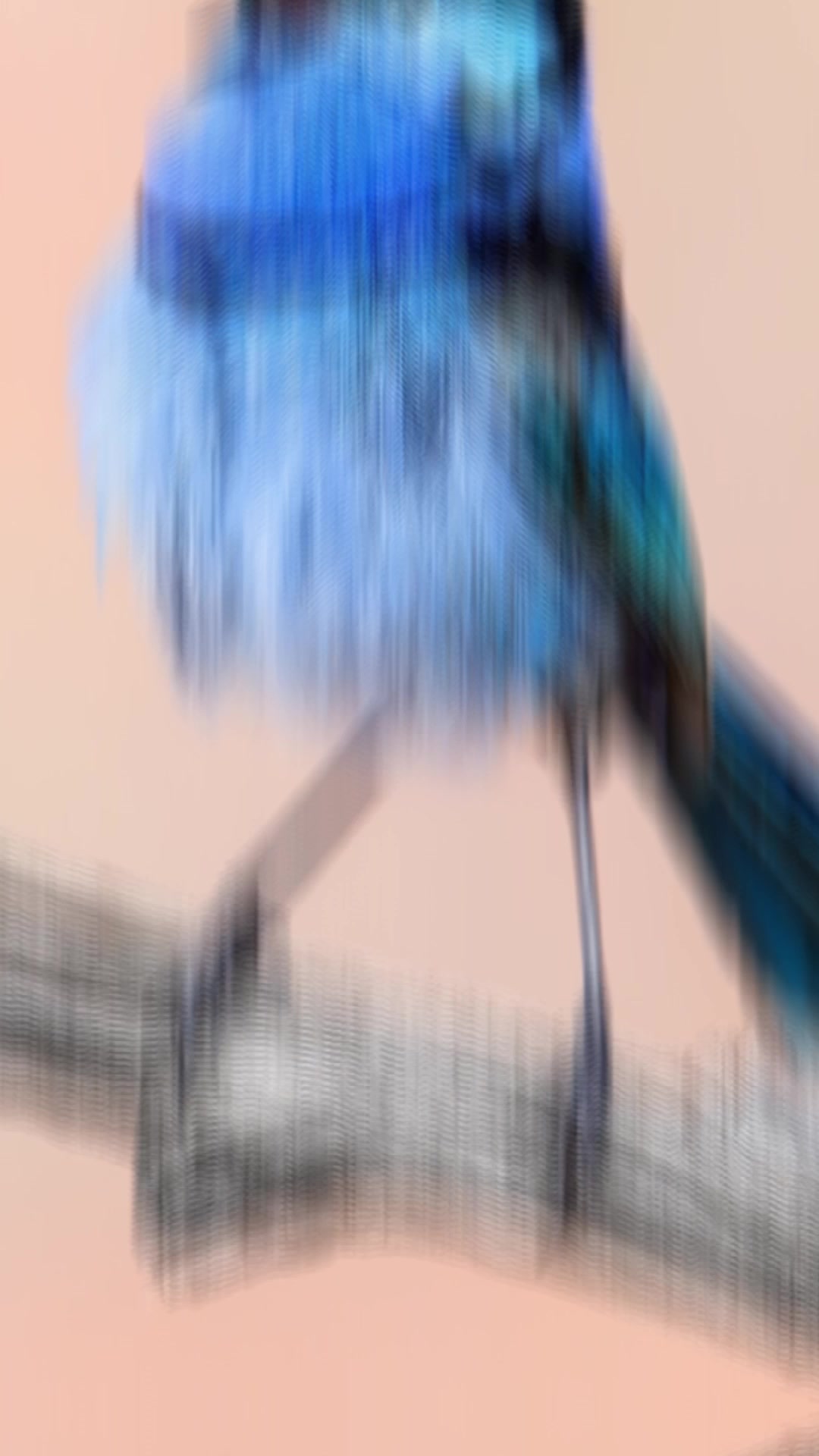 @Jan Wegener