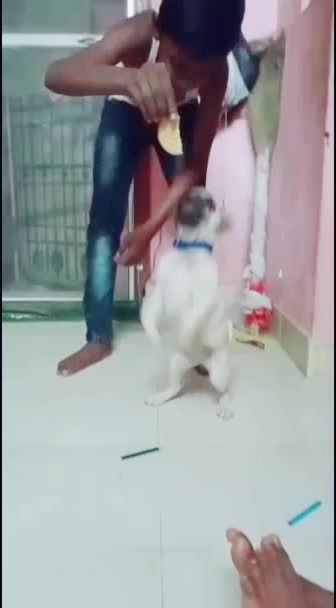 @Subashini Selvaraj