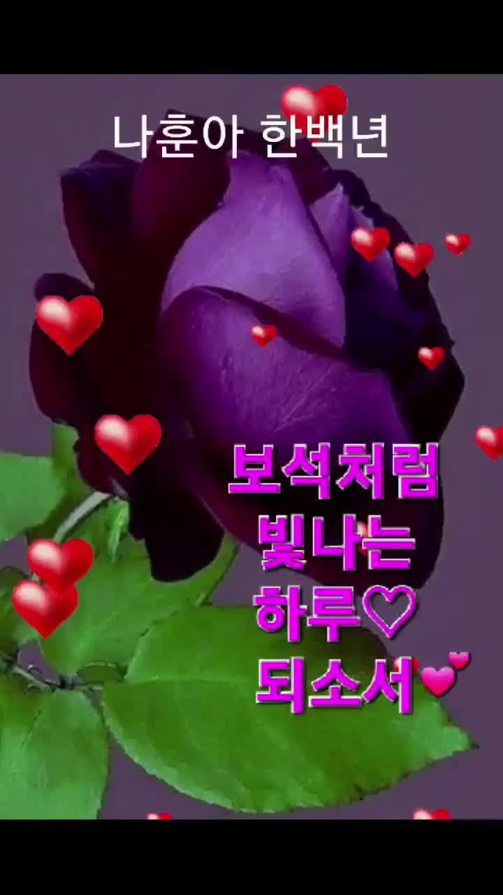 @바라보기