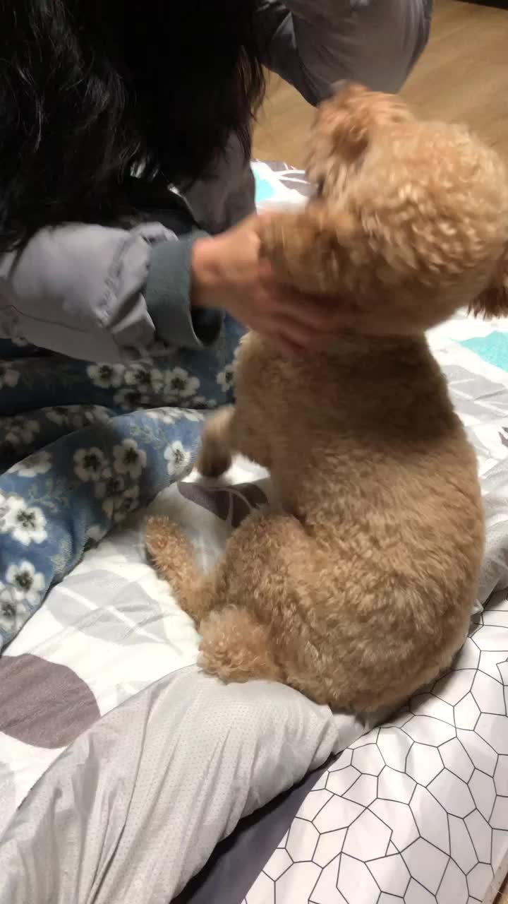 @강창현