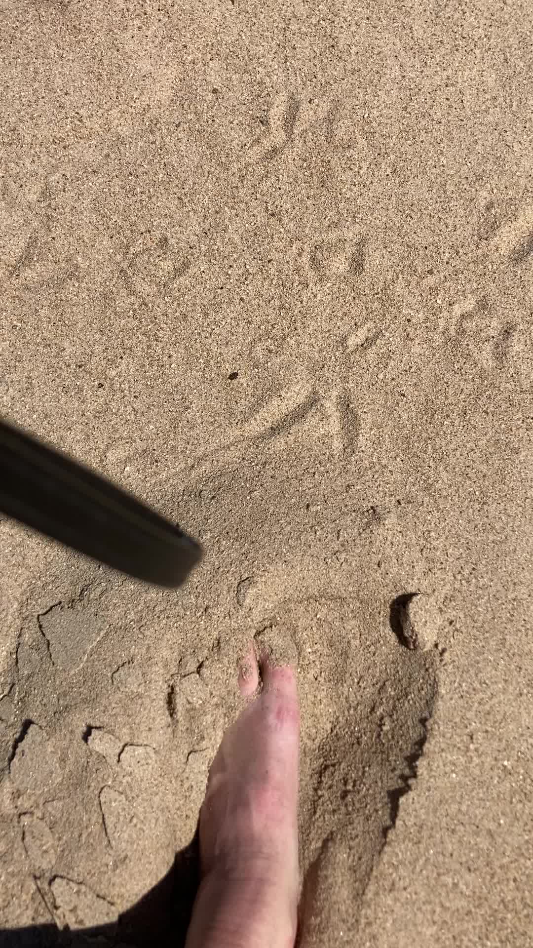 @Savage Aussie