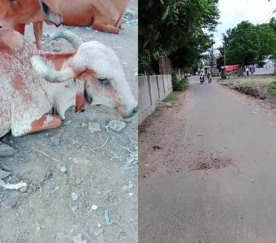 @Tushar Rabari