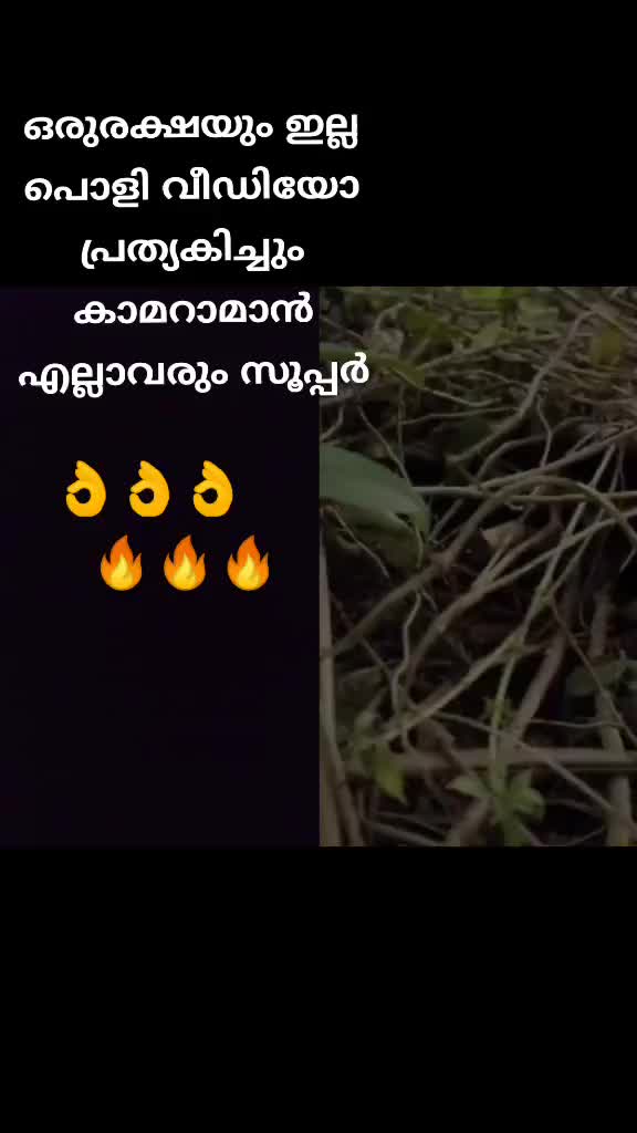@ANoozz