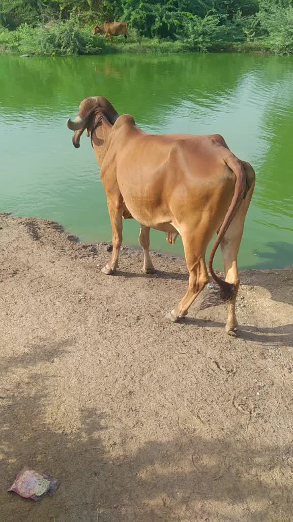 @vishal_aapa_7775
