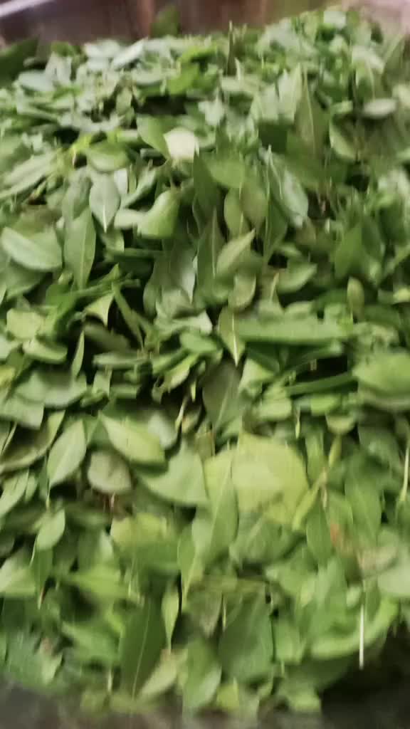 @user48807376550