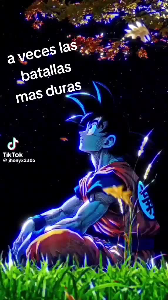@Jesus Hernan Atuncar