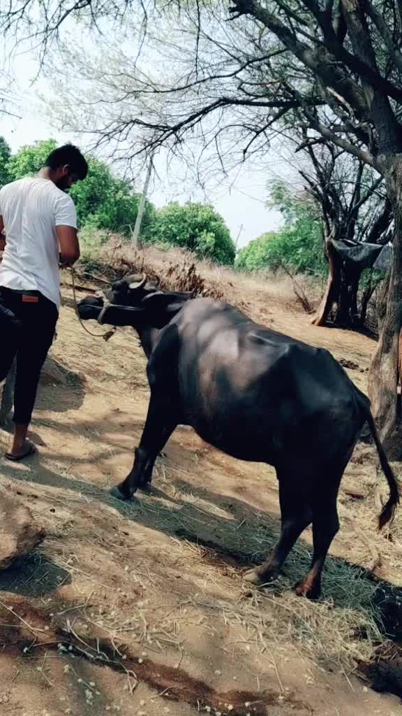 @🥰Jh&aacute;&atilde;&ntilde; B&uuml;jji🥰
