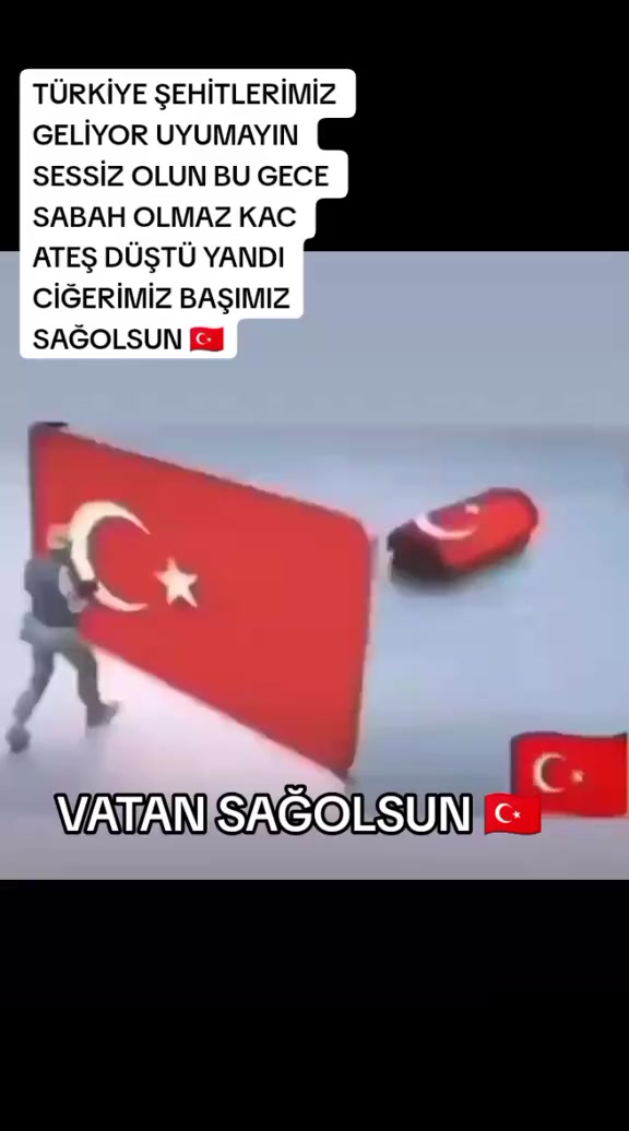 @🦅🇹🇷🐺 BOZKURT ASENA🐺🇹🇷🦅