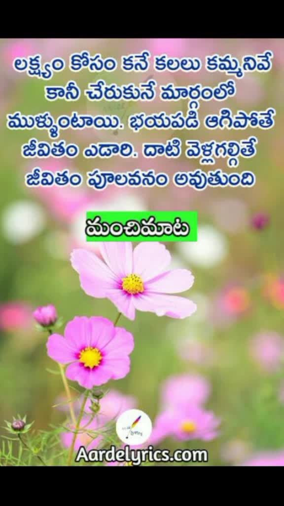 @Saritha Reddy