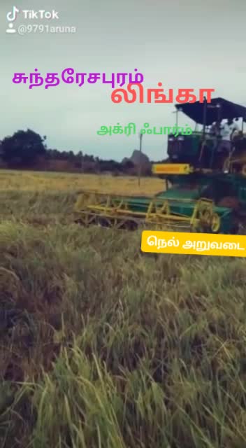 @nellai arunachalam