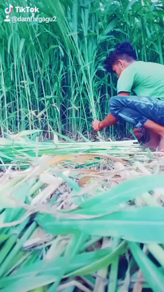 @Singal Gagu