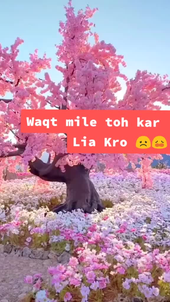 @megha____💜💜