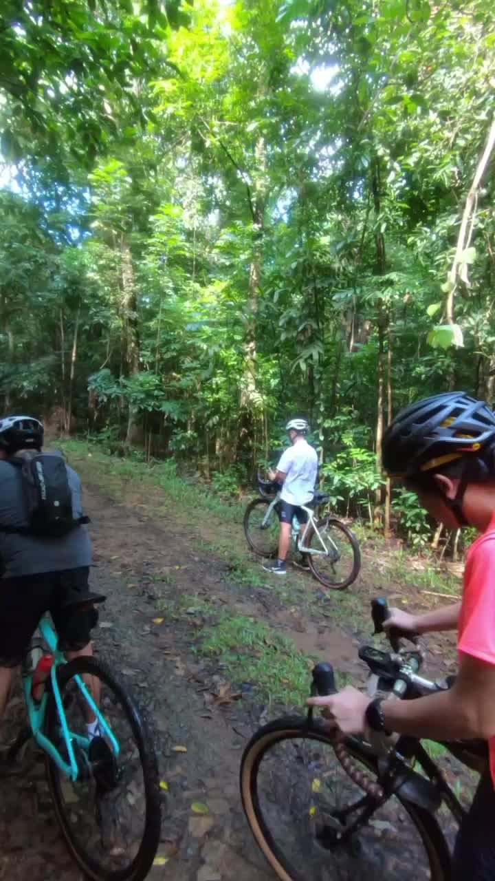 @Dave Bikes