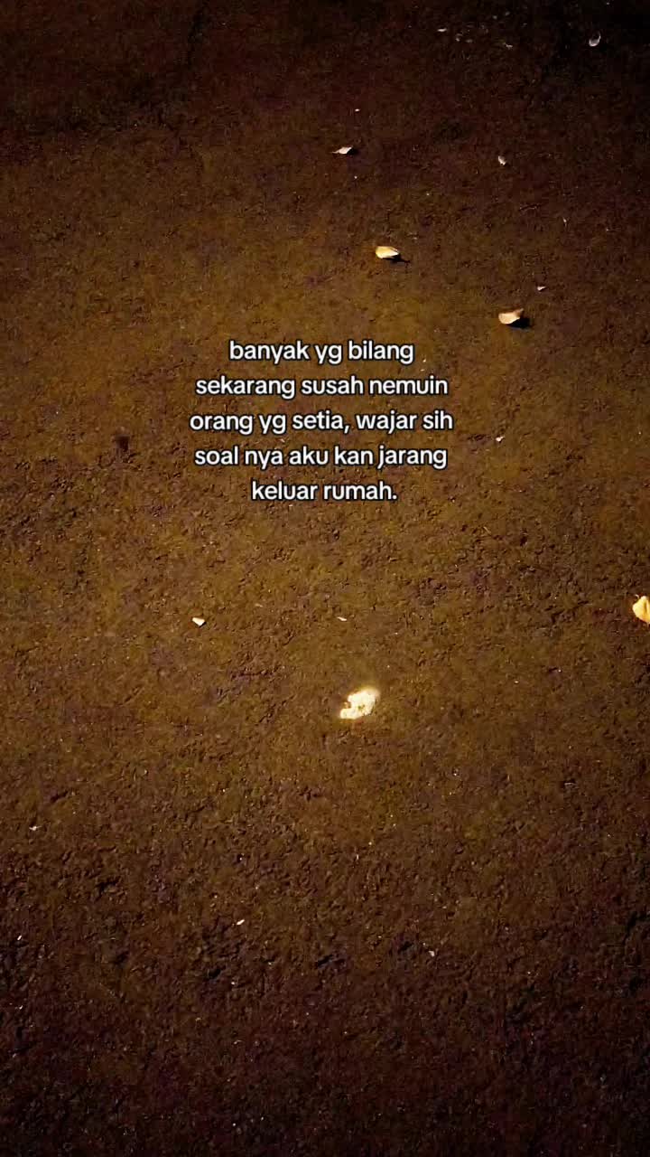 @I B N U ⚡
